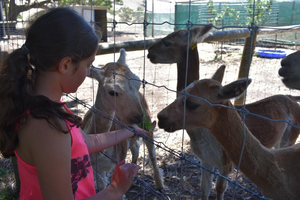 Morella Farmstay เคปเจอร์วิส ภายนอก รูปภาพ