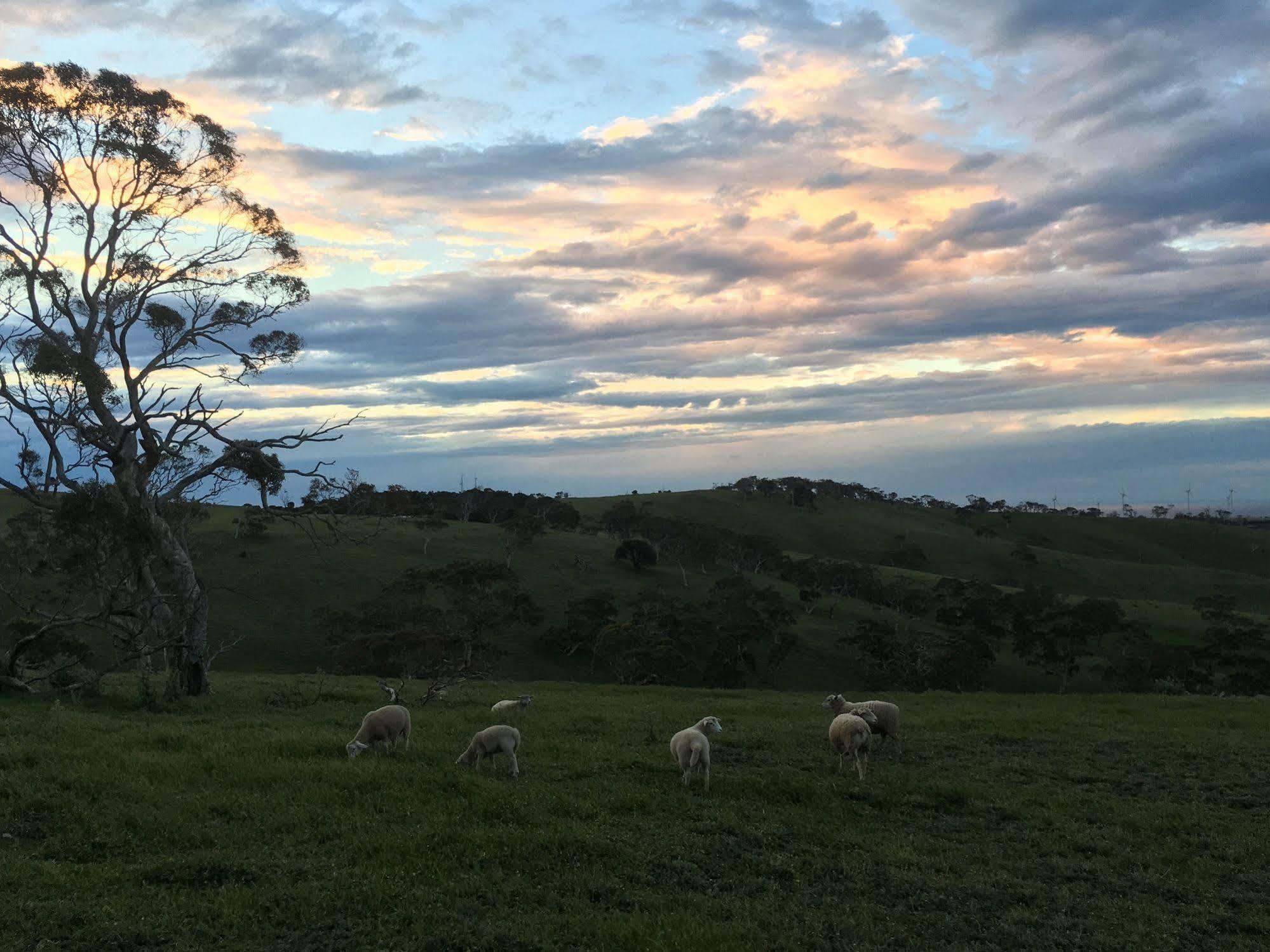 Morella Farmstay เคปเจอร์วิส ภายนอก รูปภาพ