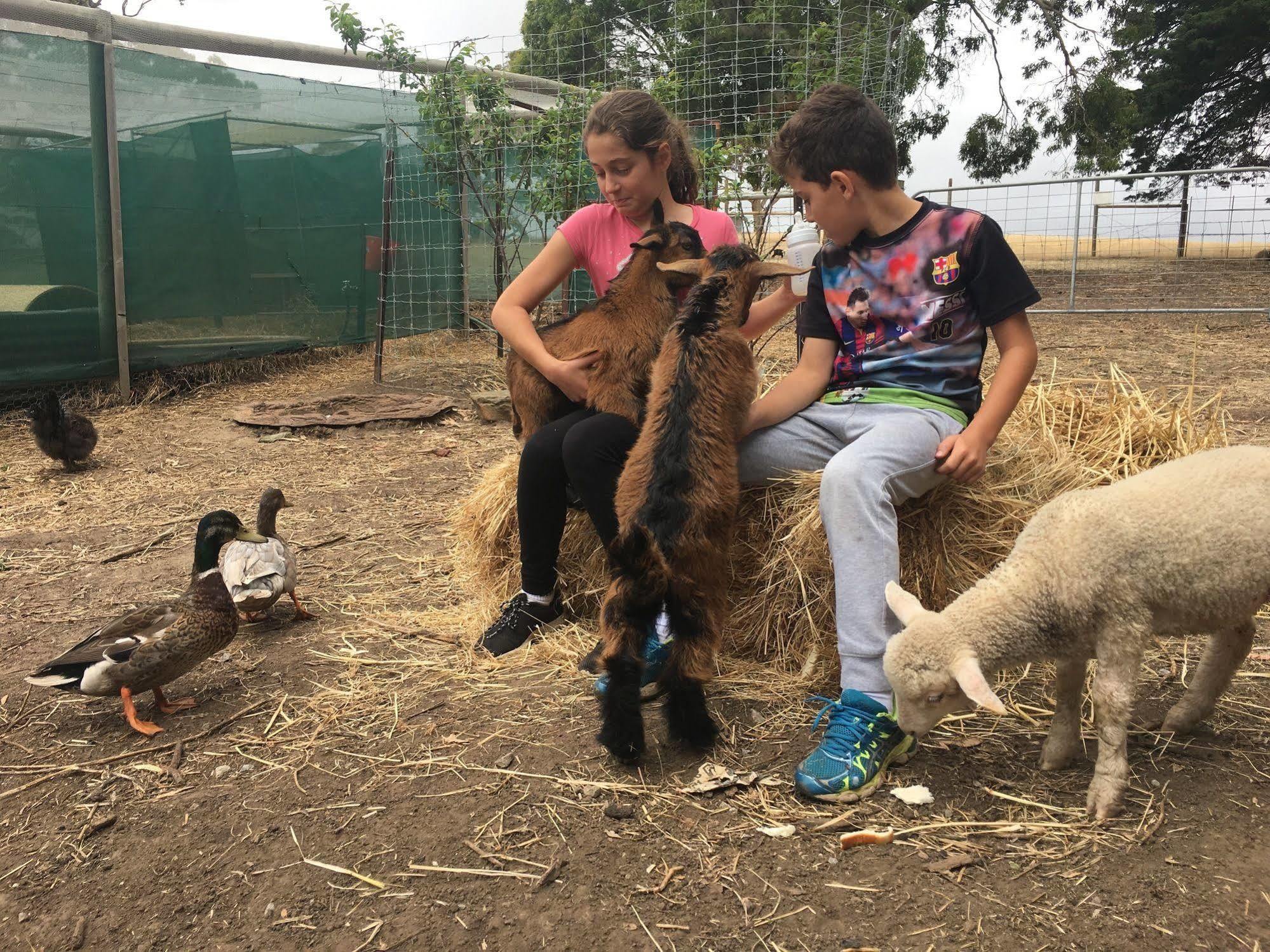 Morella Farmstay เคปเจอร์วิส ภายนอก รูปภาพ
